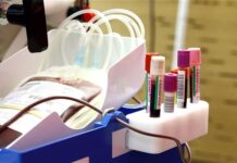 Govt boosts blood safety oversight