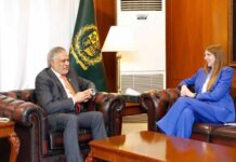 DPM Dar holds meeting with British envoy, stresses need for Middle East de-escalation
