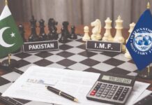 IMF objects to Rs1tr power subsidy